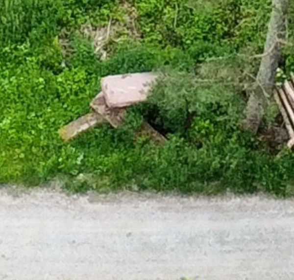 Bild "Info / Termine:Sandsteine_Luftaufn._1.JPG"